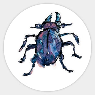 Watercolor Beetle Sticker
